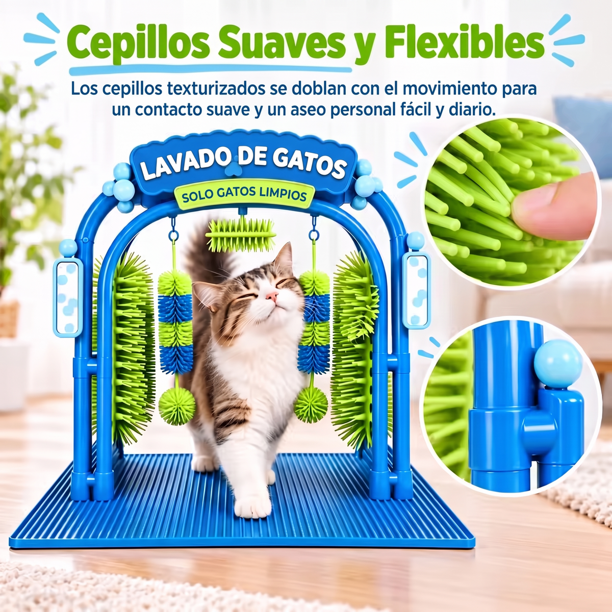 Autolavado de gatos sin agua