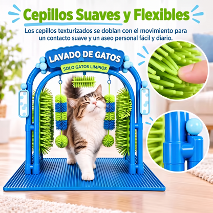 Autolavado de gatos sin agua