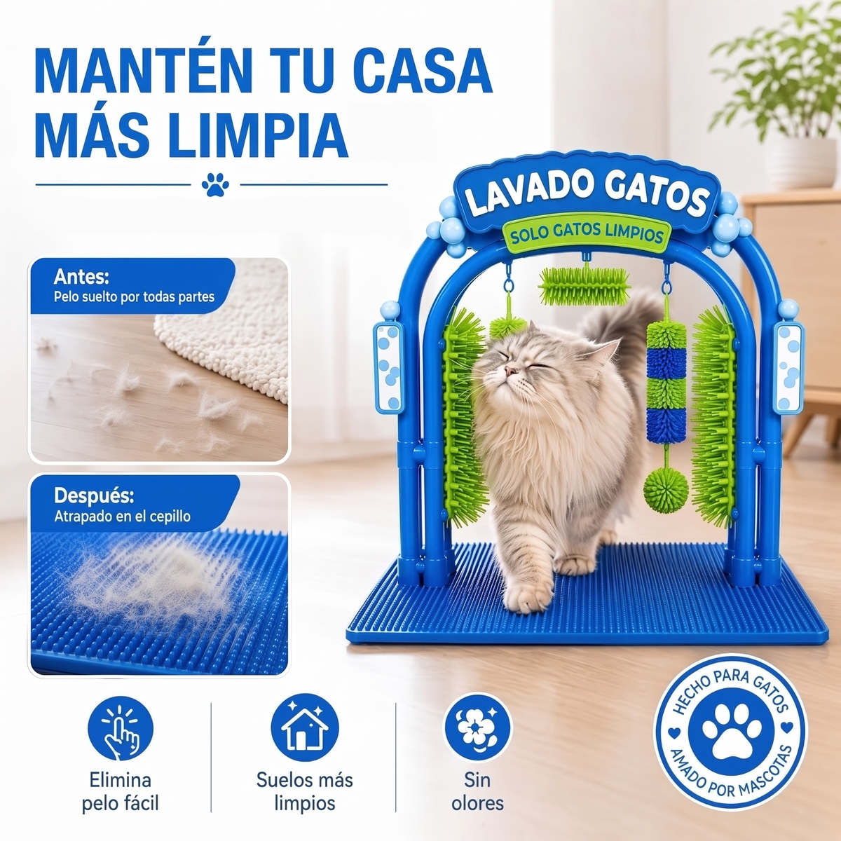 Autolavado de gatos sin agua
