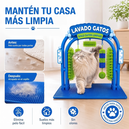 Autolavado de gatos sin agua